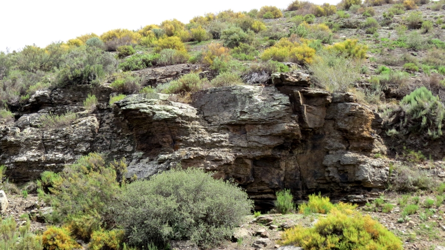 Commercial Property for Sale in Worcester Rural Western Cape